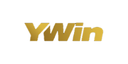 Y Win Casino Logo