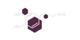 Dopamine Delivery Casino Logo