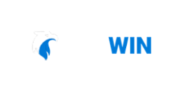NURWIN Casino Logo
