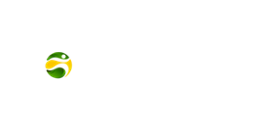 BR4BET Casino Logo