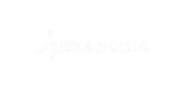 Adrenalin Casino Logo