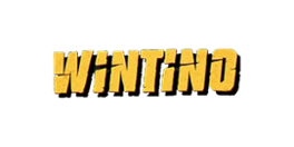 Wintino Casino Logo
