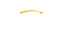 Netwin Casino Logo