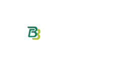 Bravobet Casino Logo