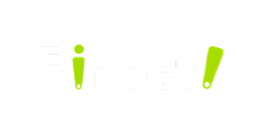 Pinbet Casino Logo