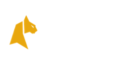 Felix Spin Casino Logo
