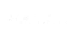 Betcity.net Casino Logo