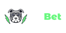 Pit Bet Casino Logo